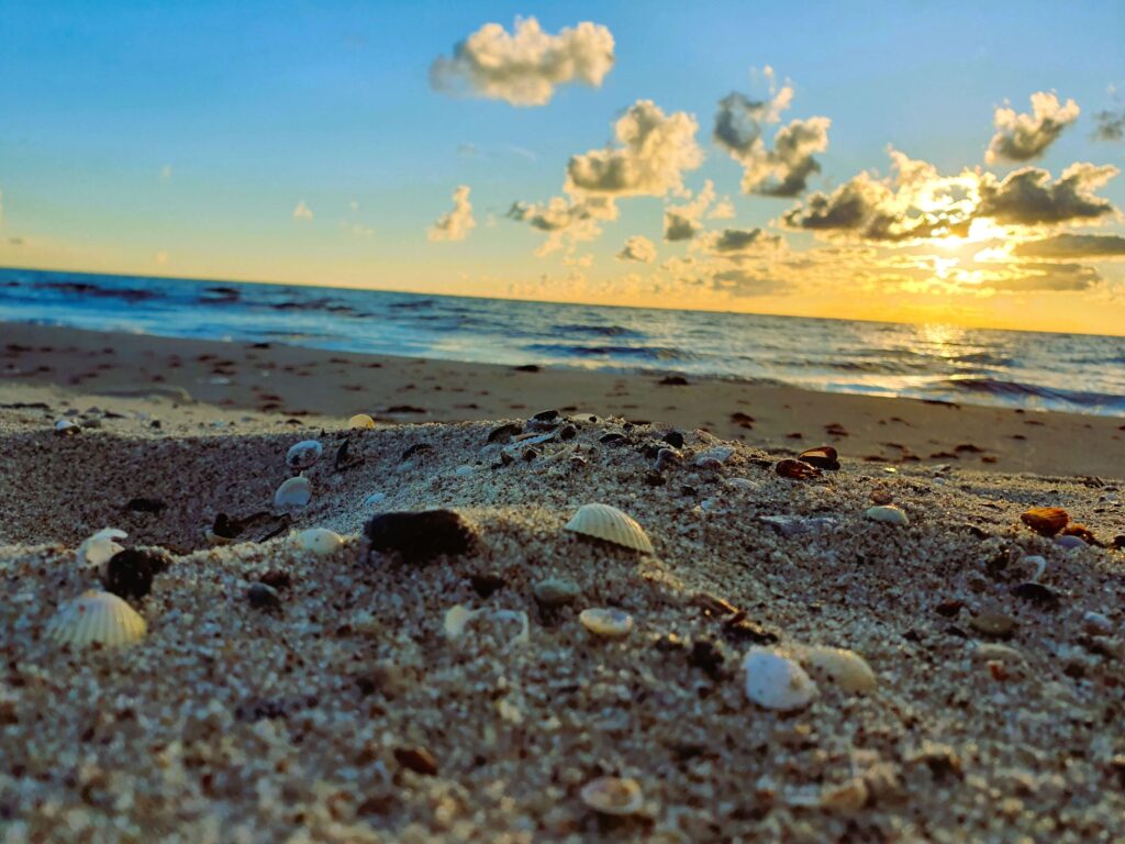 Nahaufnahme von muschel und bunten Kieselsteinen an einem Strand in Europa- ein schöner Moment beim Reisen mit Camper und Hund