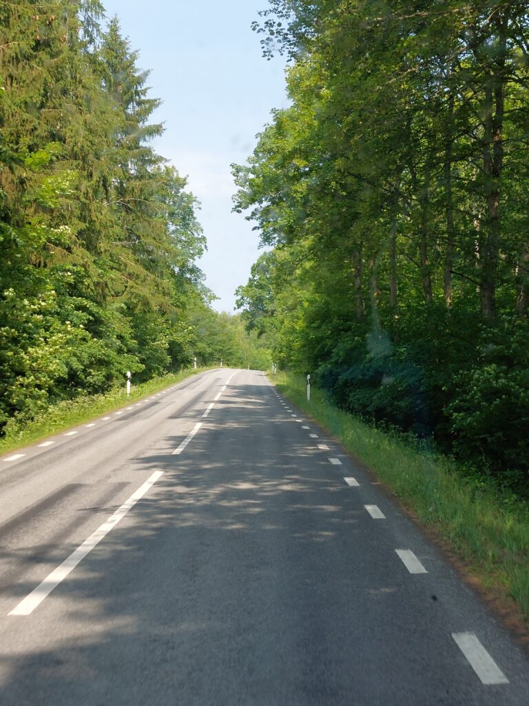 Dichte Wald Straße in Schweden mit schmaler Fahrbahn zwischen hohen grünen bäumen während unseres Camper Roadtrips durch Südschweden.