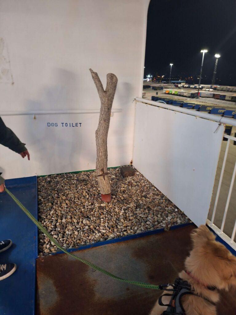 Das ungewöhnliche hunde WC auf der Fähre nach Schweden bestand aus kleinen Steinen und einem einzelnen stock. Keisy war davon eher wenig begeistert.