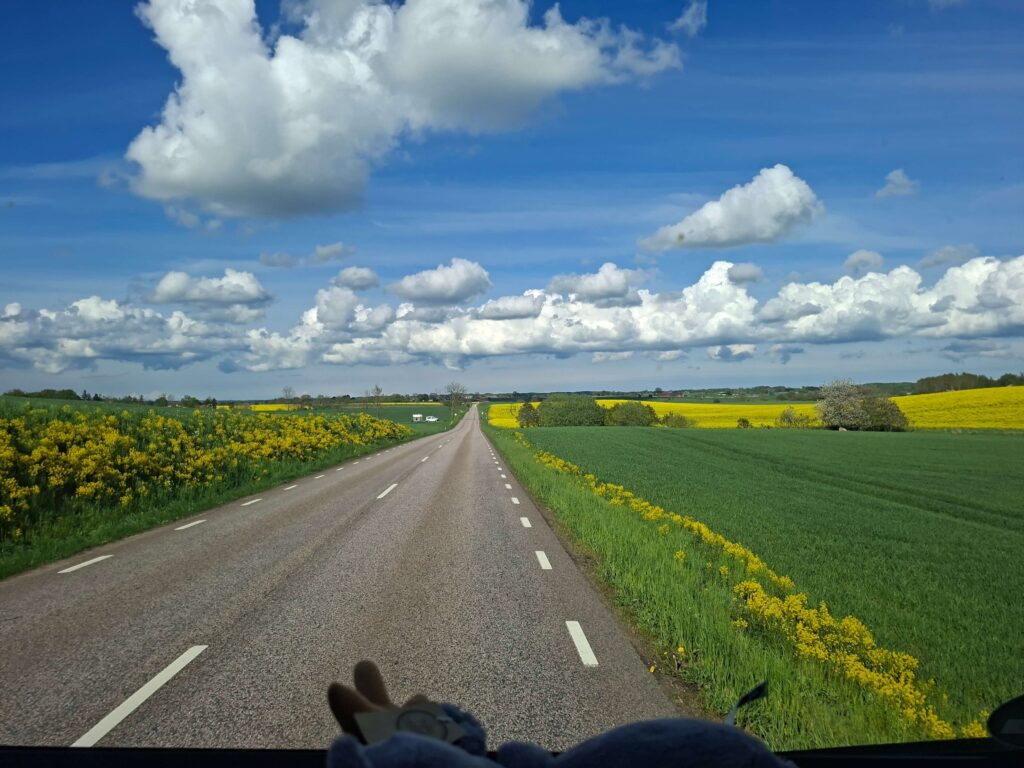 Blick aus dem camper auf eine lange straße durch die Landschaft Schwedens während unserer ersten Woche mit dem Camper in Schweden. Im hintergrund blauer Himmel mit Wolken und grüne Felder.