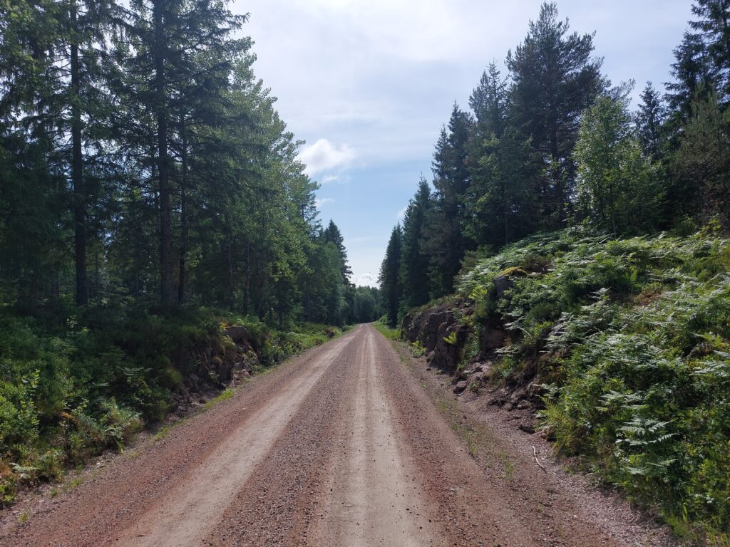 Wald weg in Schweden . Zum Wandern aber auch Fahren. Der Weg ist das Ziel.
