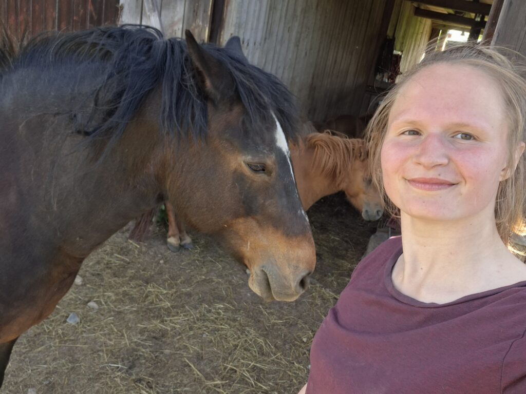 Pferd Tula auf dem schwedischen Hof eines unserer persönlichen Highlights während zweieinhalb Wochen Schweden mit dem Camper