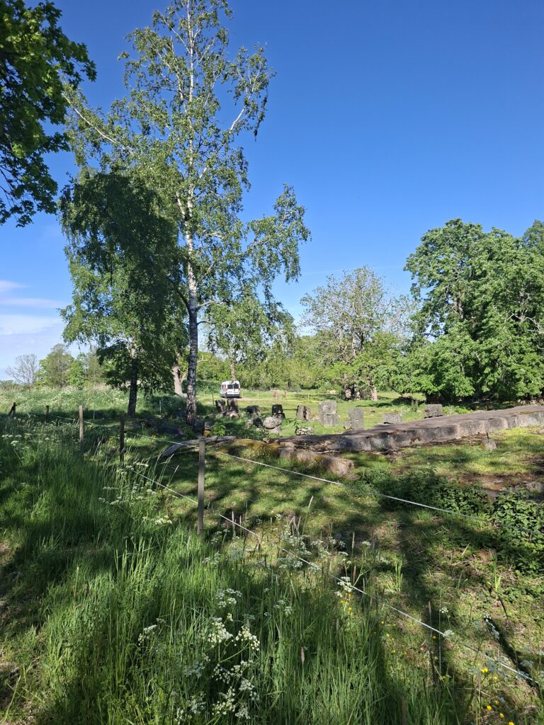 Ruhige Natur mit Wasser und Bäumen auf einen Hof in Schweden.