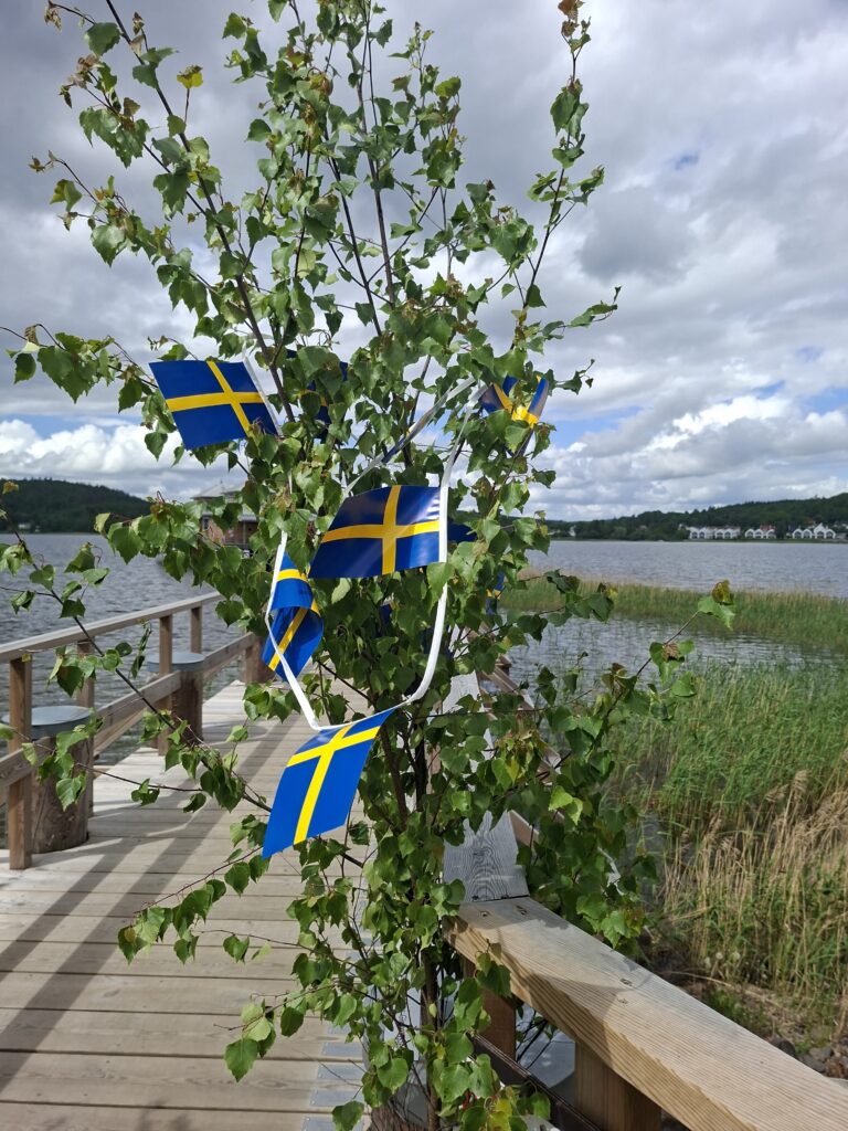 Schwedische Flaggen am Seeufer während eines Feiertags ein besonderer Moment in Schweden der uns auf unserer Camper Reise durch schweden aufgefallen ist.