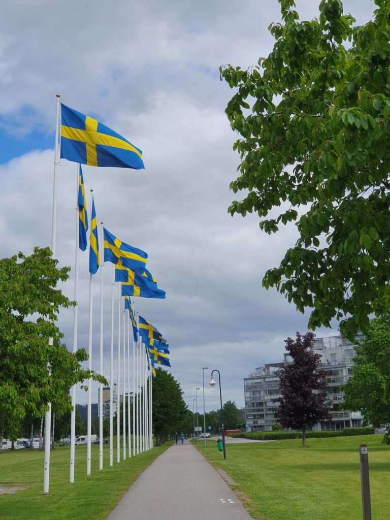 Schwedische Flaggen entlang einer Straße am Nationalfeiertag. Wissenswertes über Schweden und die Bedeutung der schwedischen Flagge im Alltag.