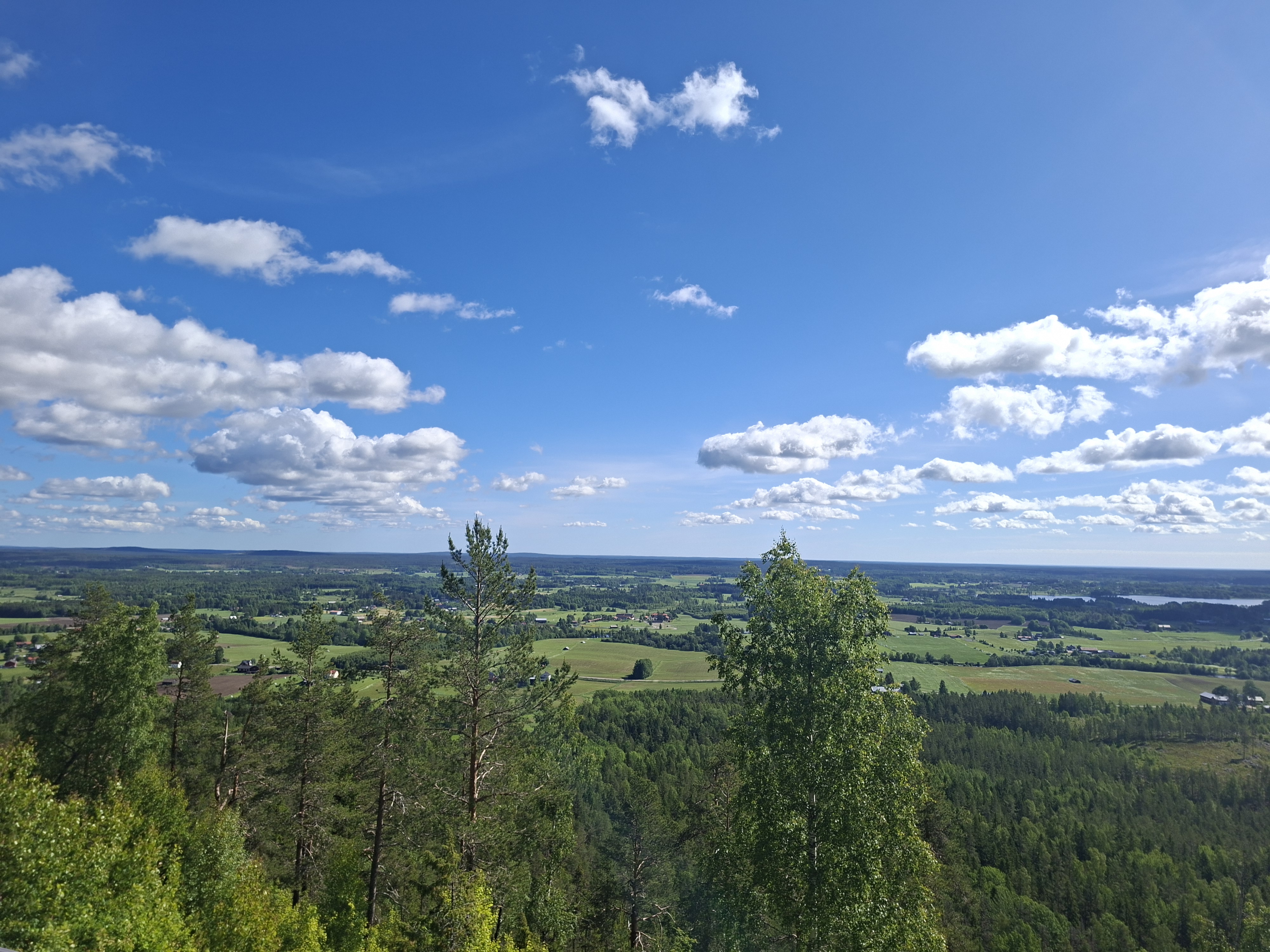 Aussicht über Schwedens Wälder und Seen. Mit einzelnen Wolken an einem sonnigen Tag.