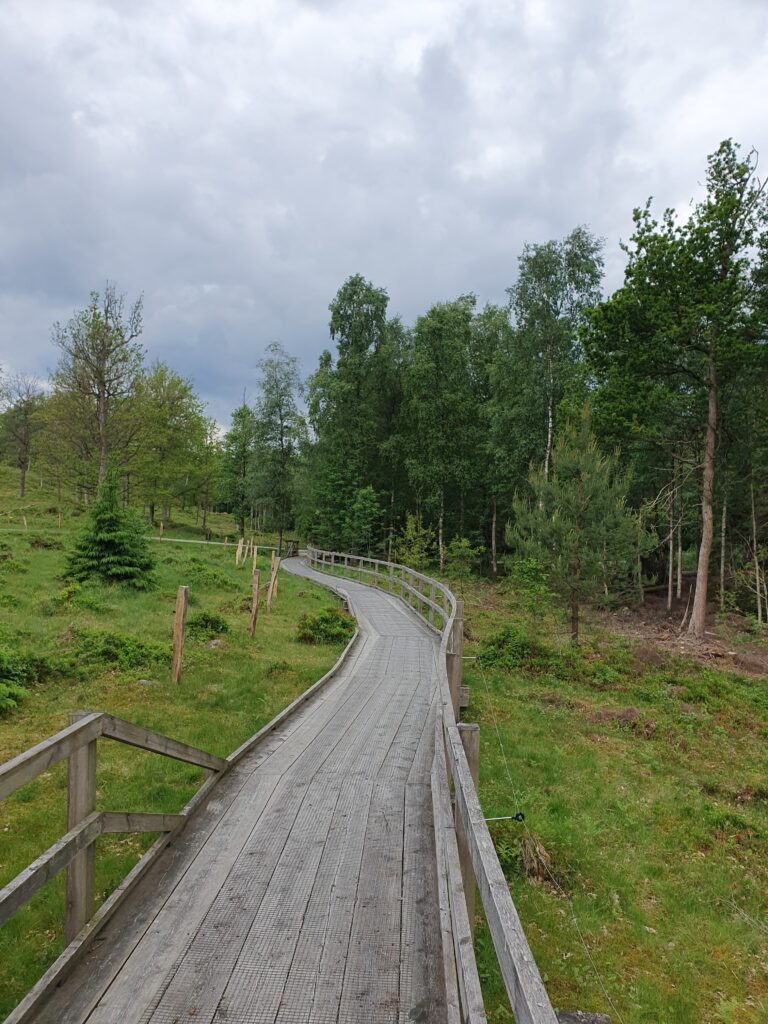 Store Mosse Nationalpark.