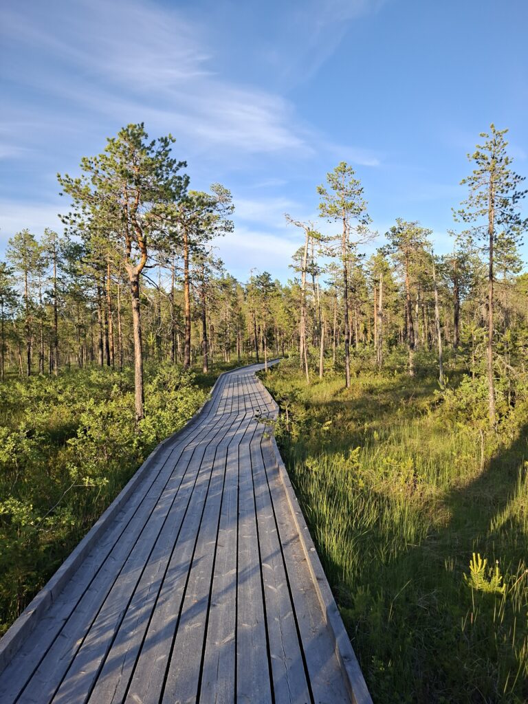Holzsteg durch Hamra Nationalpark in Schweden während unserer 6 Wochen Schweden mit dem Camper