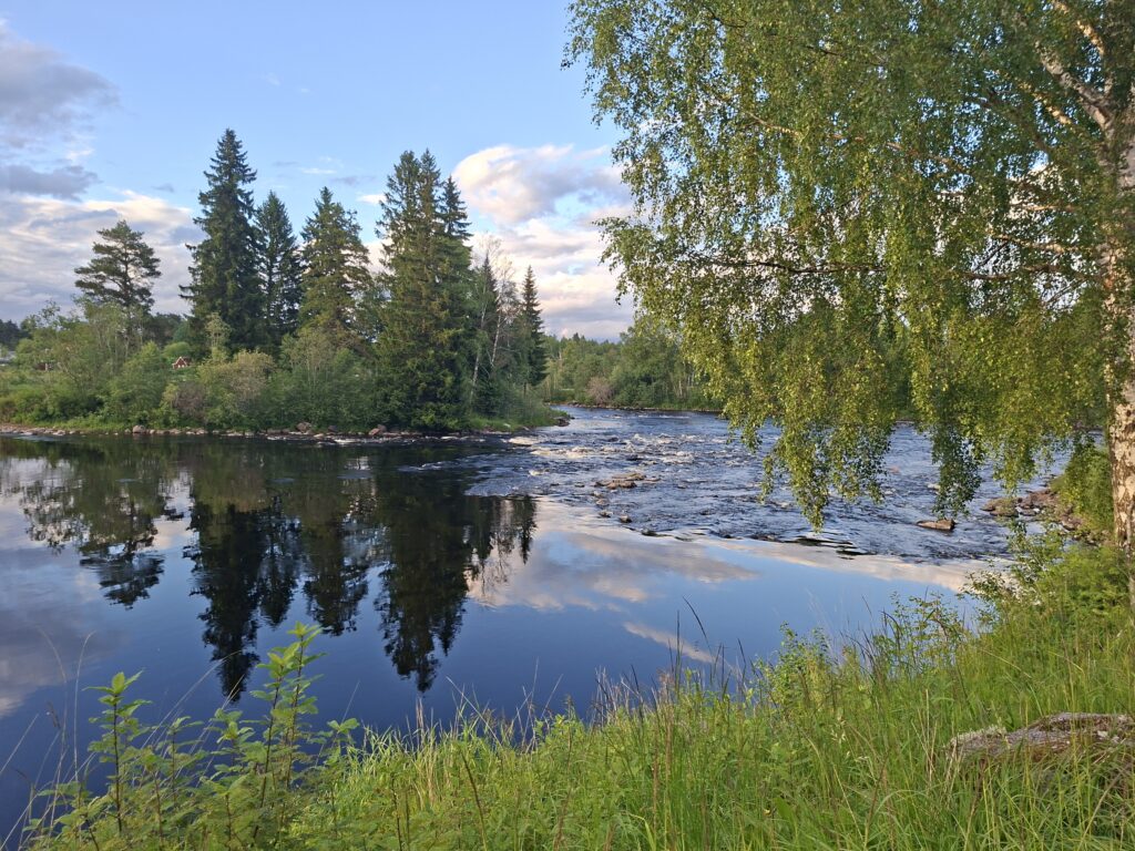 Ruhiger Fluss mit spiegelglattem Wasser, Birken und nadelbäumen in der schwedischen Natur. Die friedliche Landschaft spiegelt das schwedische Lebensgefühl Langom wieder und gehört zu unseren Beitrag Wissenswertes über Schweden.