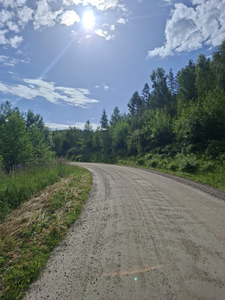 Schmale Landstraße mit einer leichten Kurve, umgeben von dichtem Wald, Wiesen und Sträuchern unter blauen Himmel während unserer Reise durch Schweden.