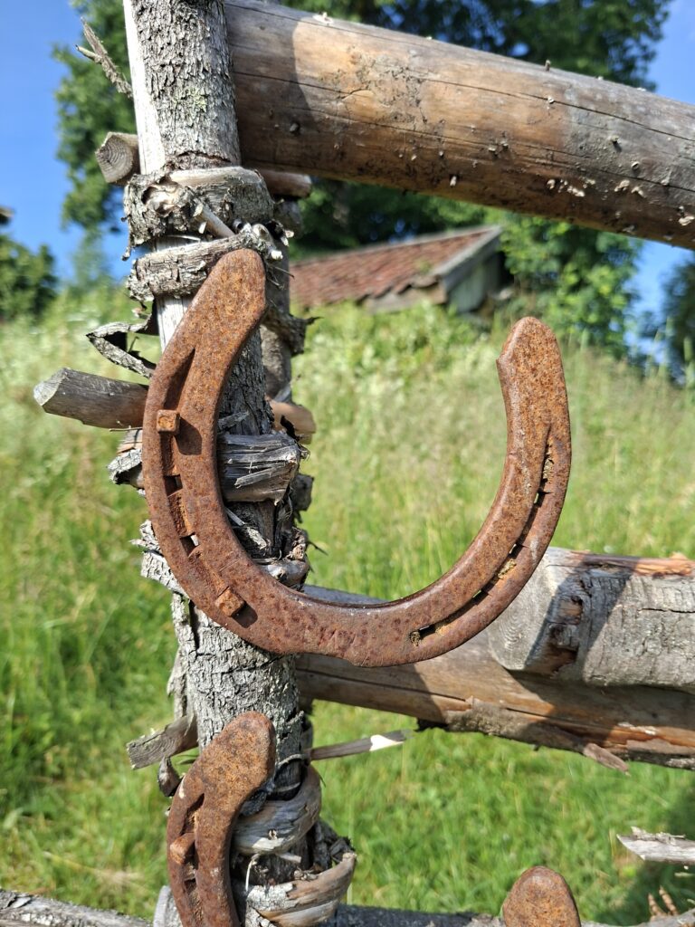 Rostiges Hufeisen an einem Baum in Schweden während unserer Camper Reise