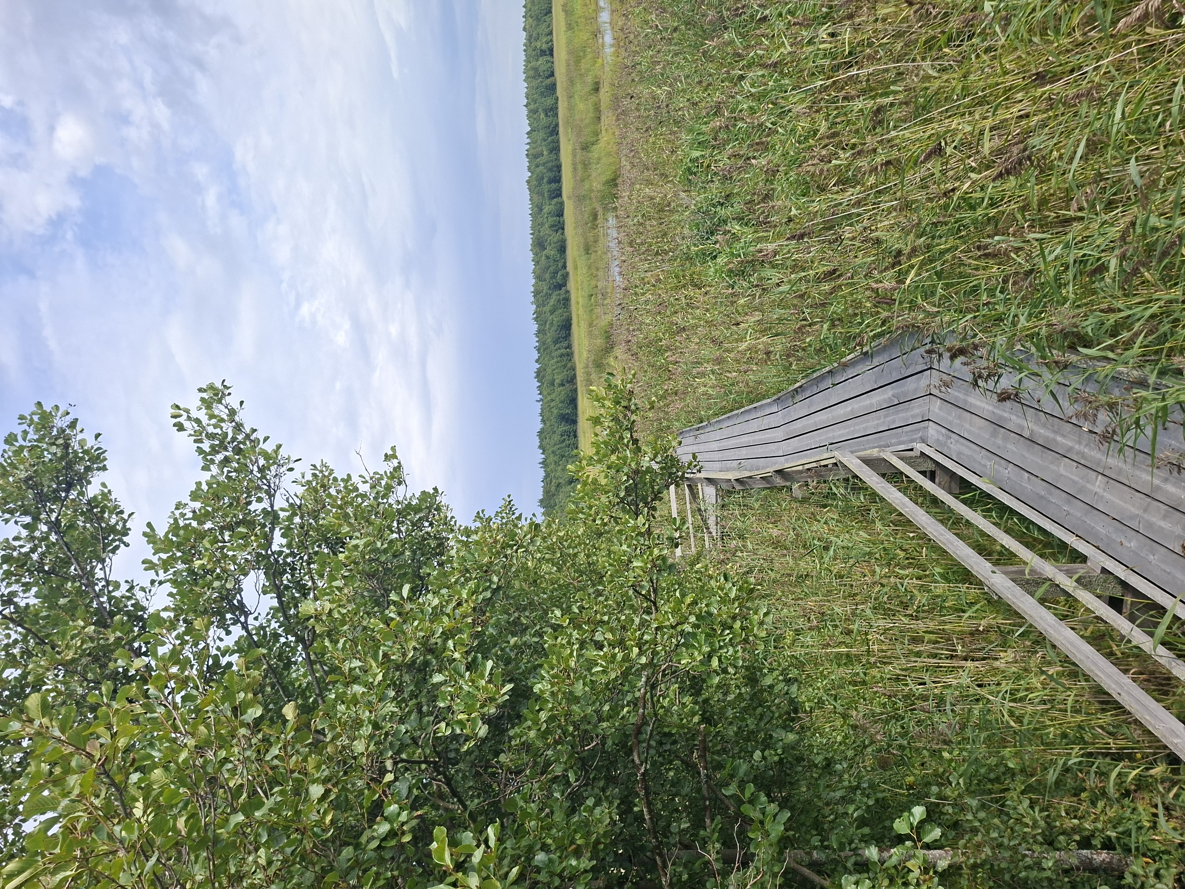 Wanderweg in Finnland