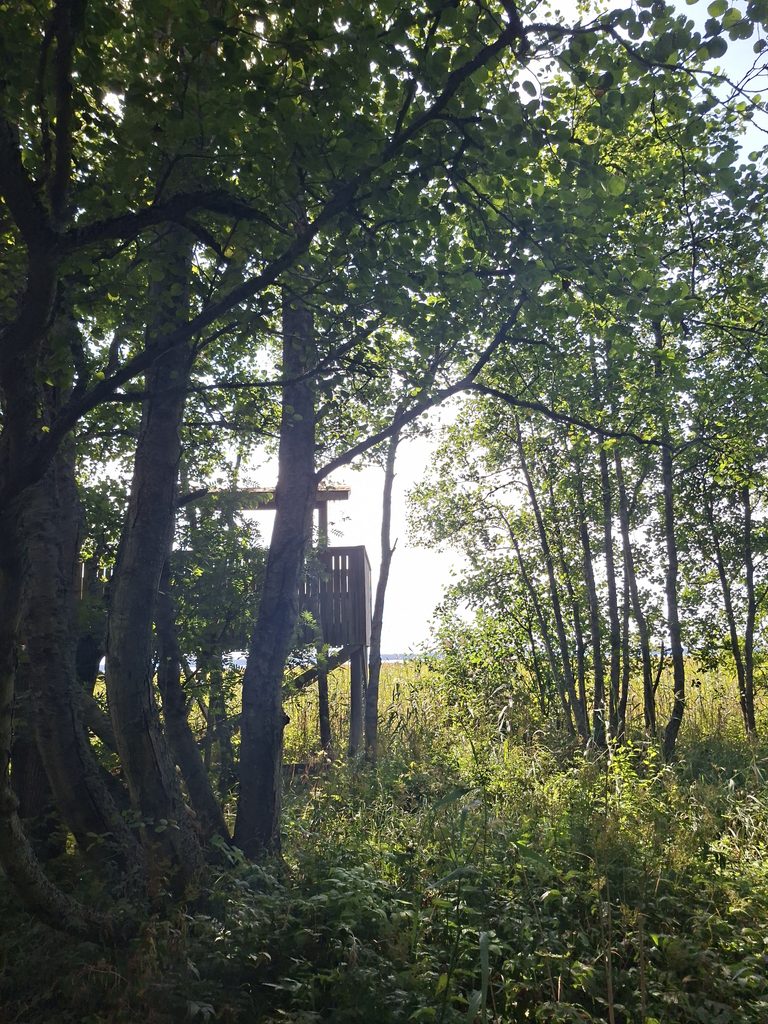 Vogelbeobachtungsturm bei einer Wanderung durch Finnland auf der suche nach Sehenswürdigkeiten in Finnland. War ein sehr schönes wandergebiet.