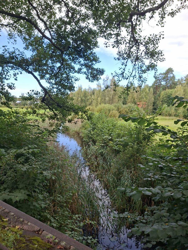 Grüne Flusslandschaft in Finnland zwischen Bäumen und dichter Natur