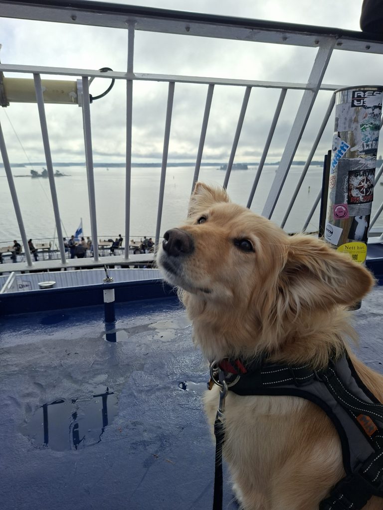 Keisy auf der Fähre von Helsinki nach Tallin. Das Ende der Finnland Reise. Sehenswürdigkeiten in Finnland