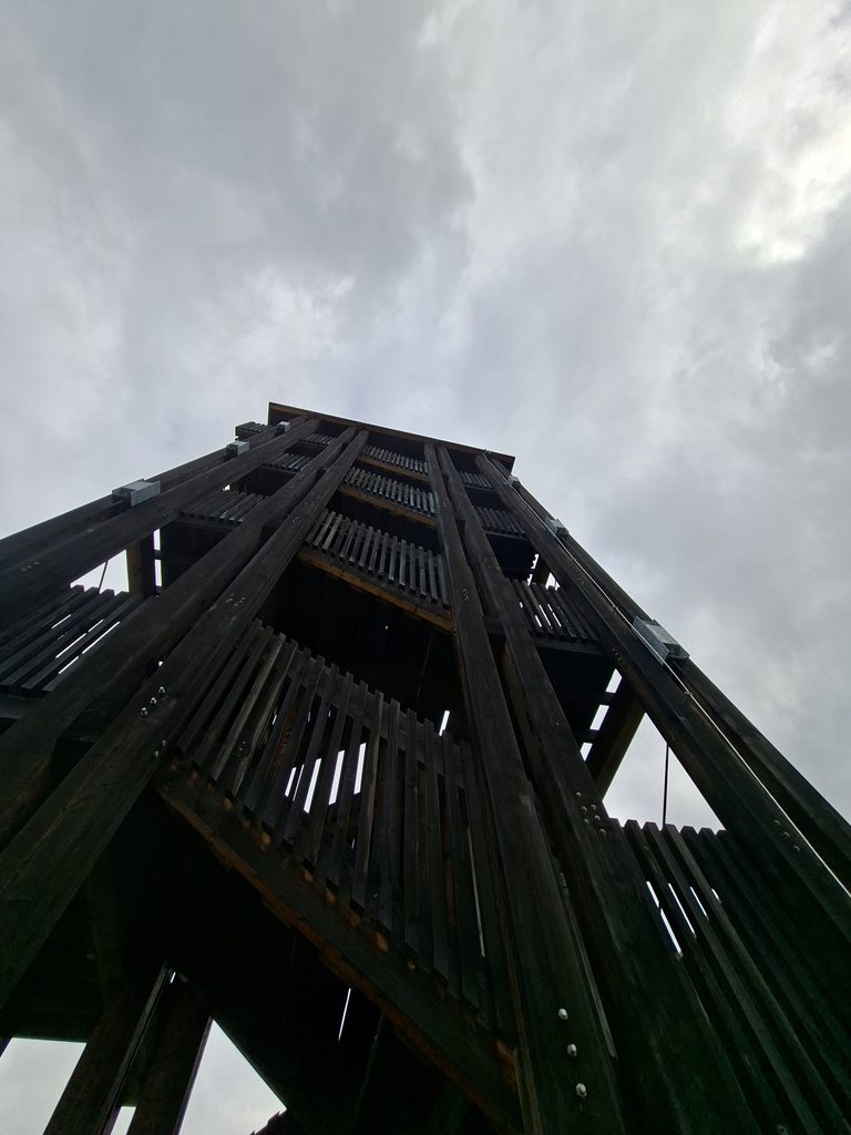 Holzkonstruktion eines Aussichtsturms in Estland
