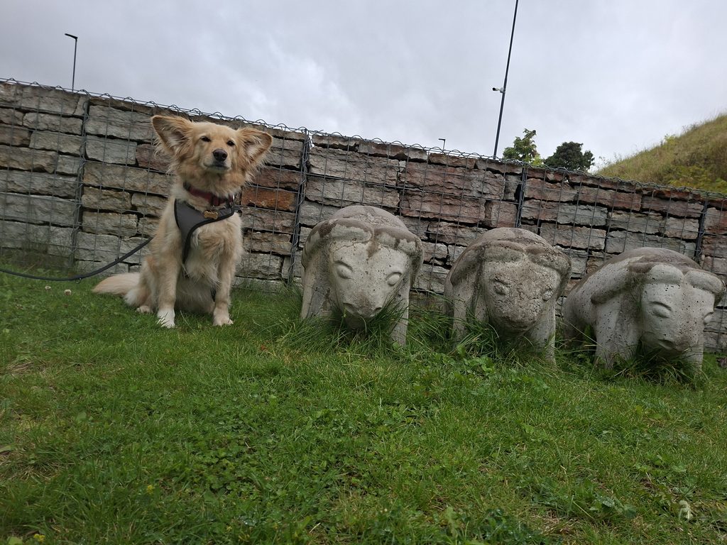 Wissenswertes über Estland. Keisy neben Steinfiguren