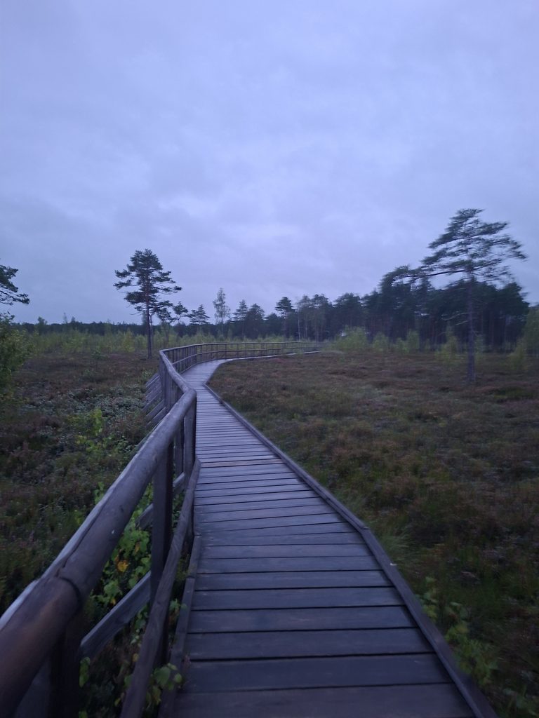 holzsteg über Moor in estland während unsere Reise