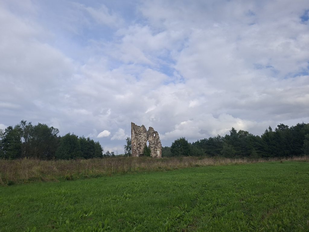 Burgruine Laiuse teil in einem Gasfeld. Ein teil von dem was noch übrig ist.