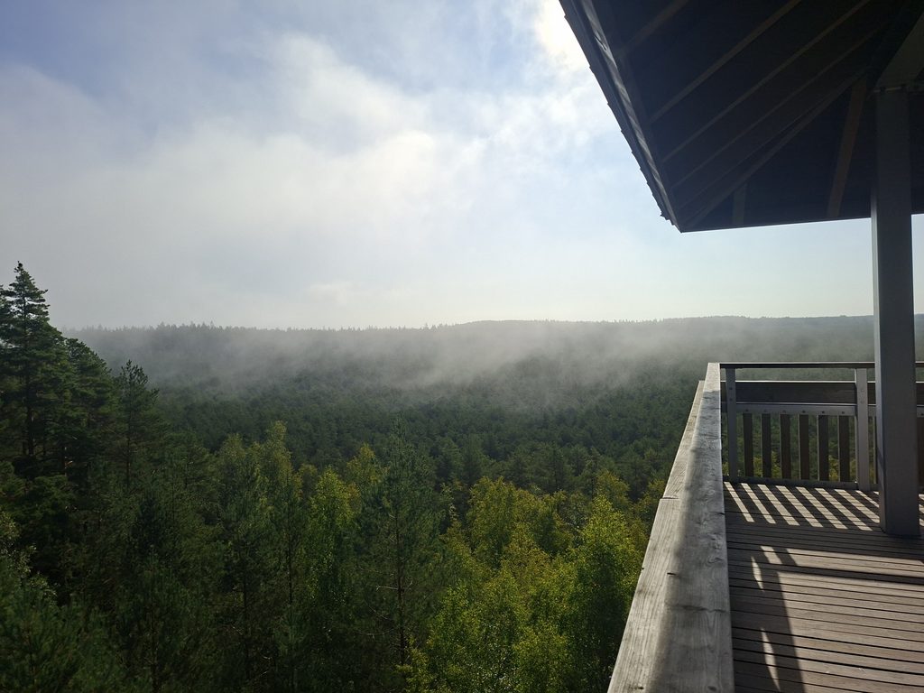 Blick vom Aussichtsturm über die estnische Landschaft