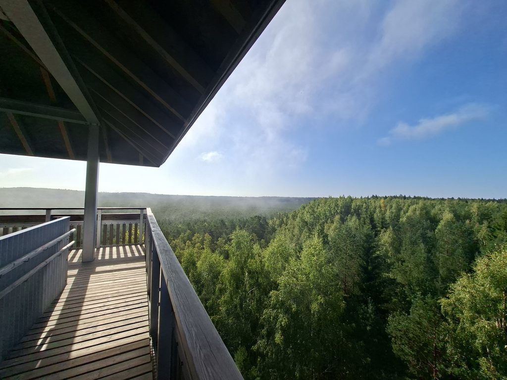 Aussicht vom Aussichtsturm im Valgesoo-Studienpfad 