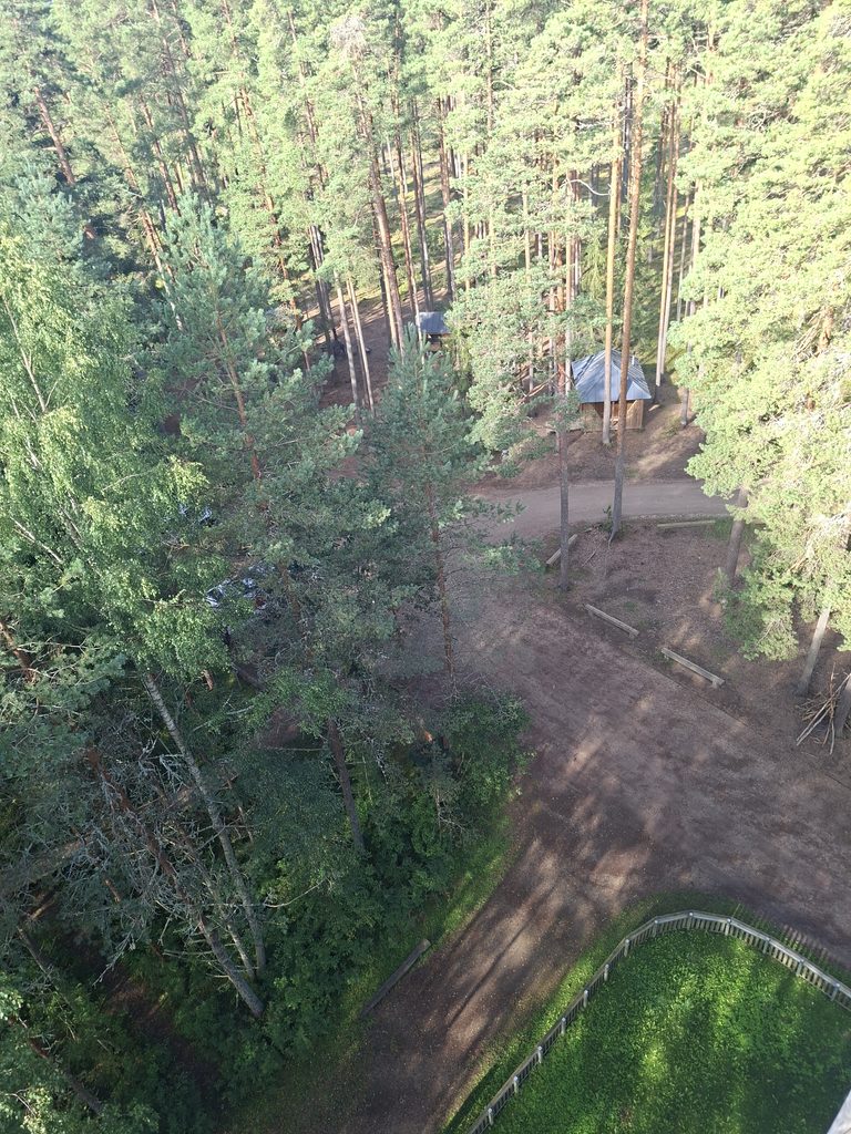 Blick nach unten vom Aussichtsturm