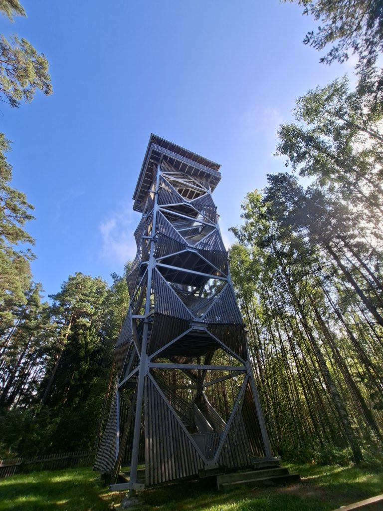 Aussichtsturm zwischen Bäumen in Estland