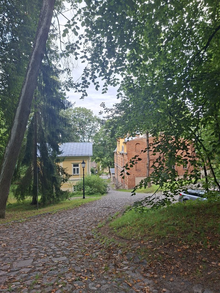 Kopfsteinpflaster und historische Gebäude in Tartu