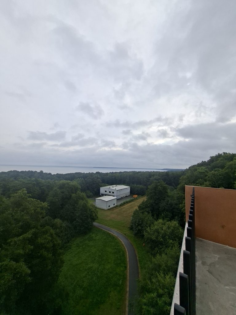 Aussicht vom Turm über Wälder und Landschaft in Estland