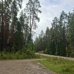 Lettland mit dem Camper. Waldwege in Lettland